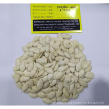 China Shine skin pumpkin seeds